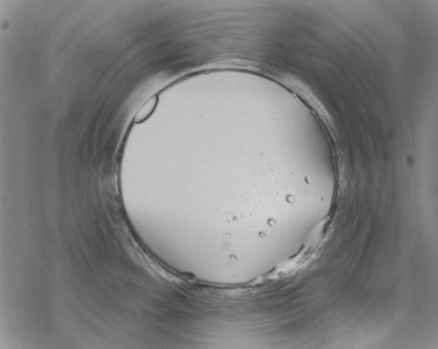 X0000067921292200605111959