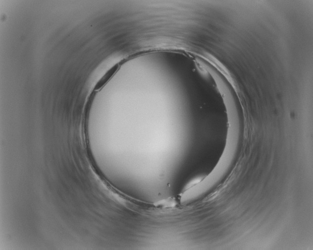 X0000067921293200605111959