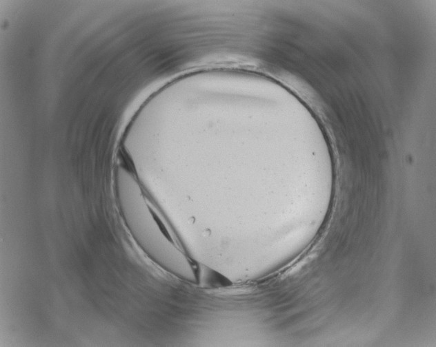 X0000067921296200605111959