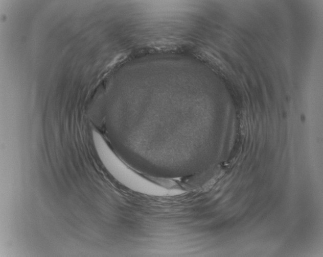 X0000067921298200605111958