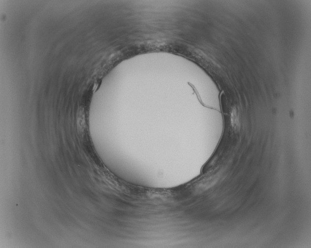 X0000067921299200605111958