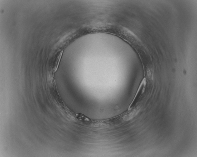 X0000067921300200605111958