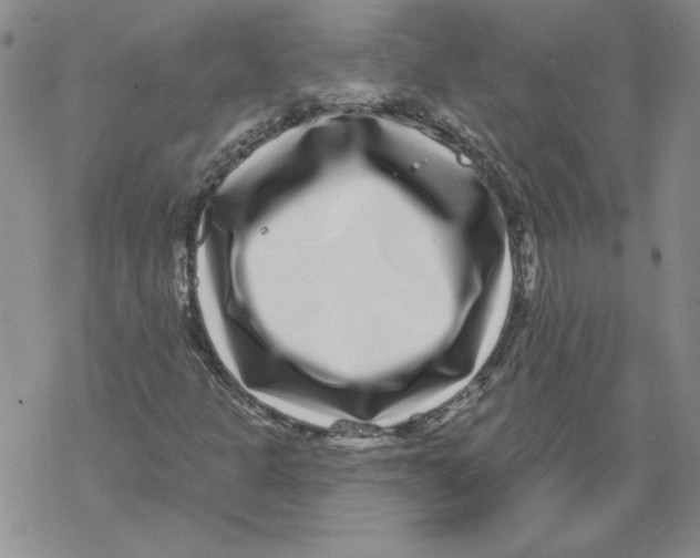 X0000067921301200605111958