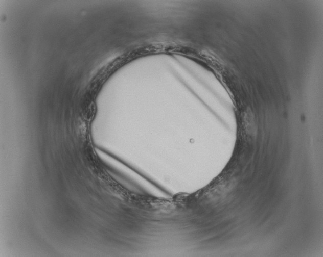 X0000067921302200605111958