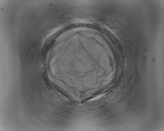 X0000067921303200605111958