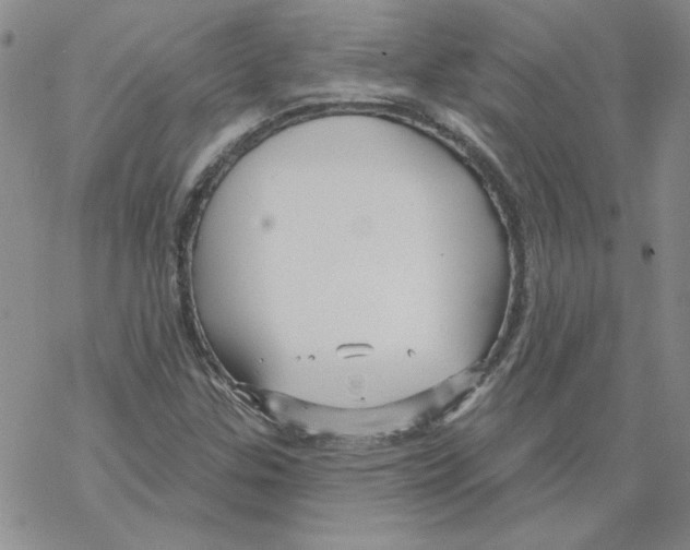 X0000067921307200605111958