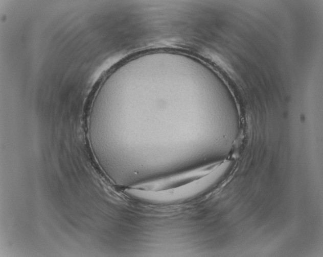 X0000067921308200605111958