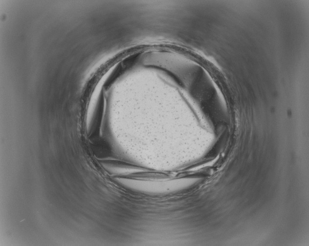 X0000067921311200605111958