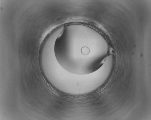 X0000067921312200605111958