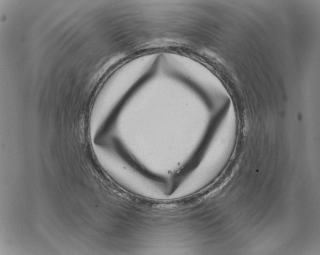 X0000067921313200605111958