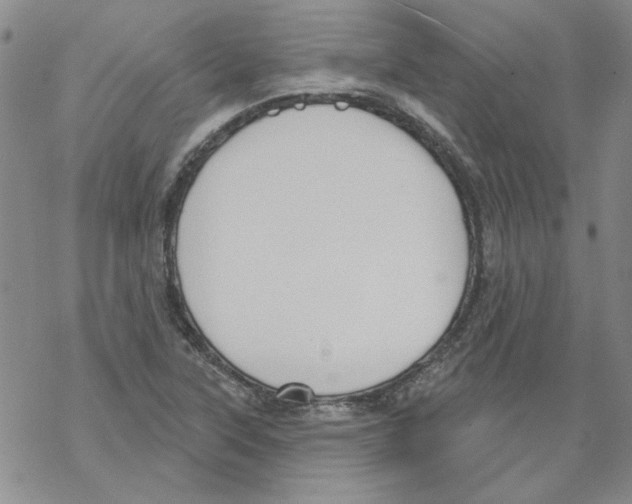 X0000067921315200605111958