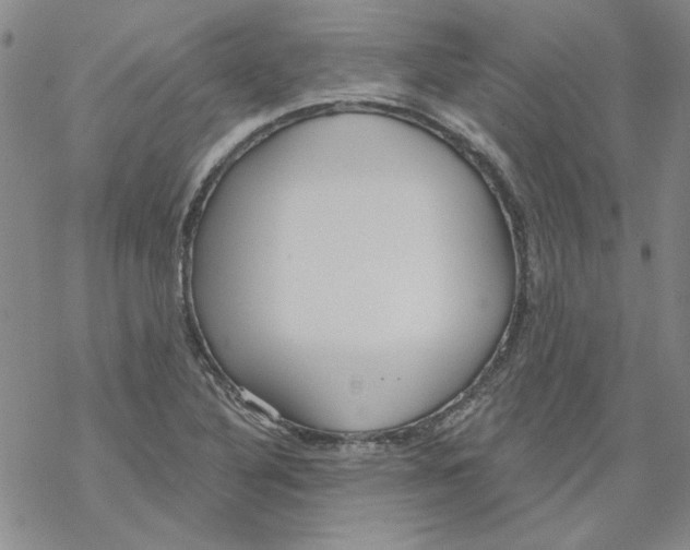 X0000067921316200605111958