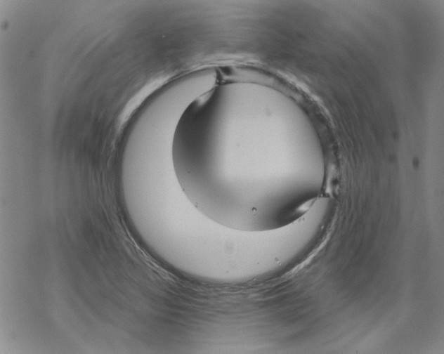 X0000067921317200605111958