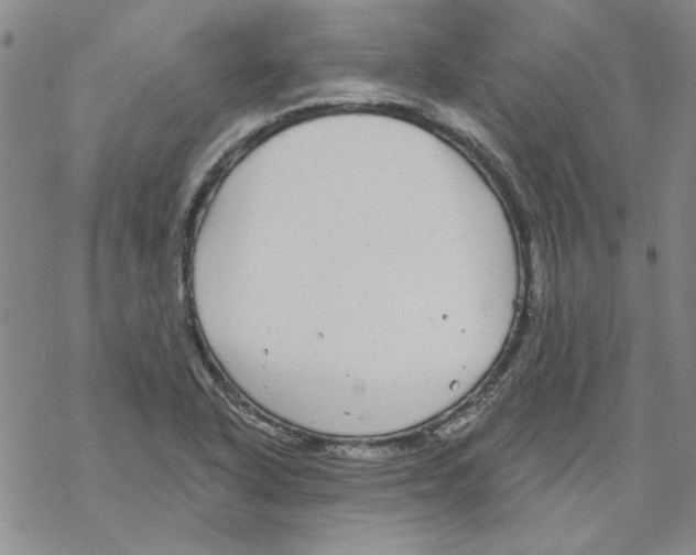 X0000067921318200605111958