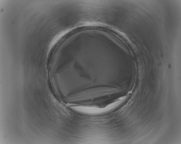 X0000067921319200605111958