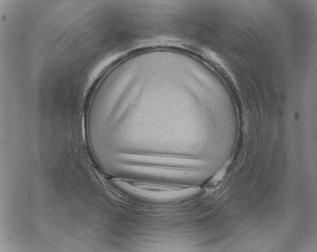 X0000067921320200605111958