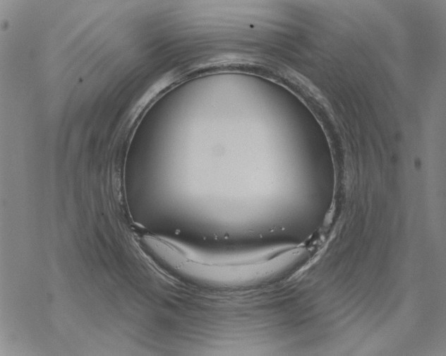 X0000067921321200605111958