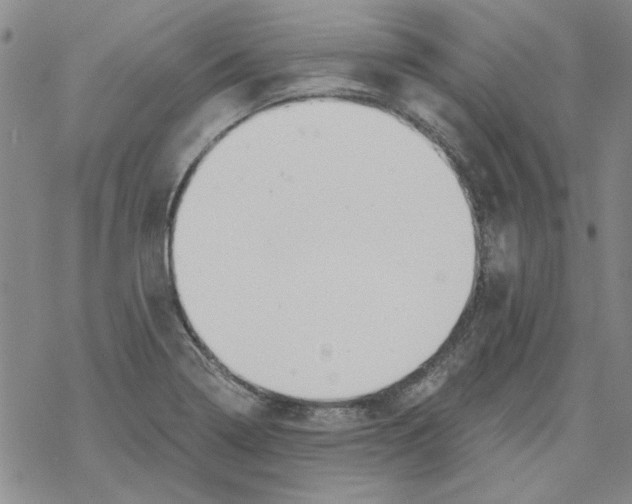 X0000067921322200605111958