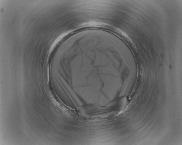 X0000067921323200605111958