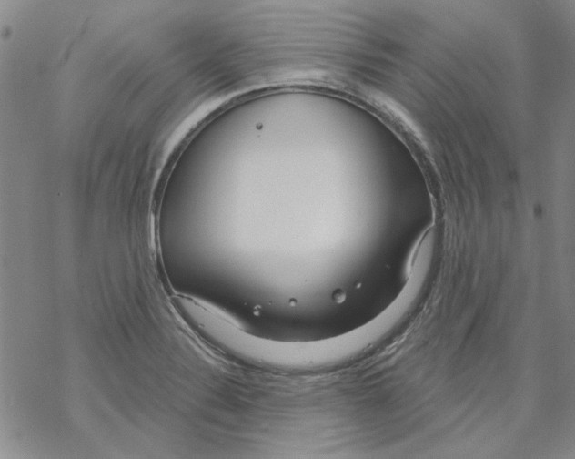 X0000067921324200605111958