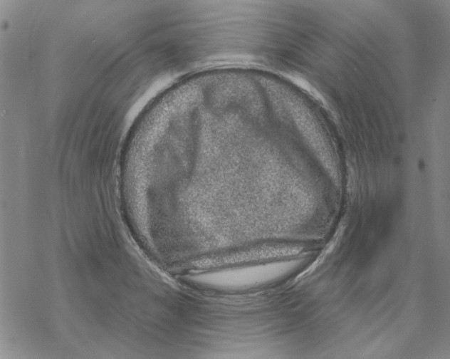 X0000067921325200605111958