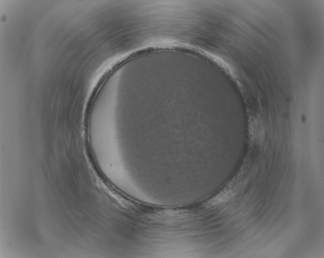 X0000067921327200605111958