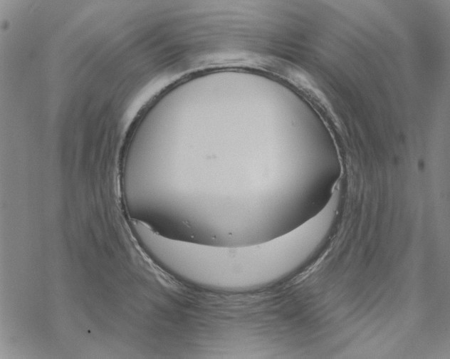 X0000067921328200605111958