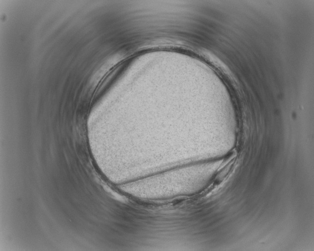 X0000067921329200605111958