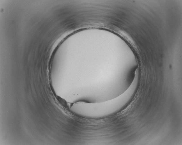 X0000067921332200605111958