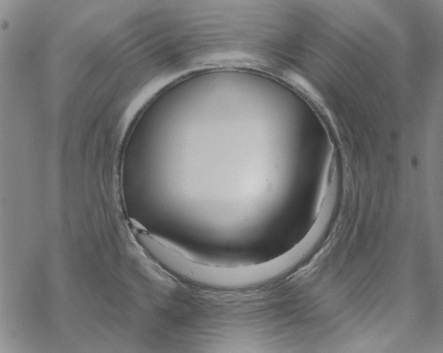 X0000067921336200605111958