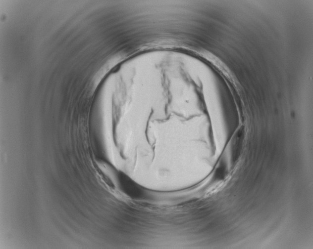 X0000067921337200605111958