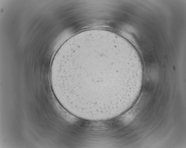 X0000067921338200605111958