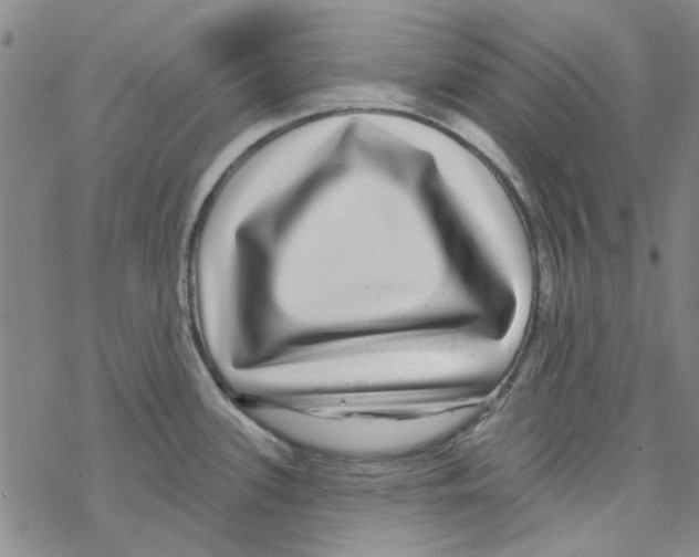 X0000067921339200605111958