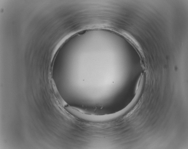 X0000067921340200605111958