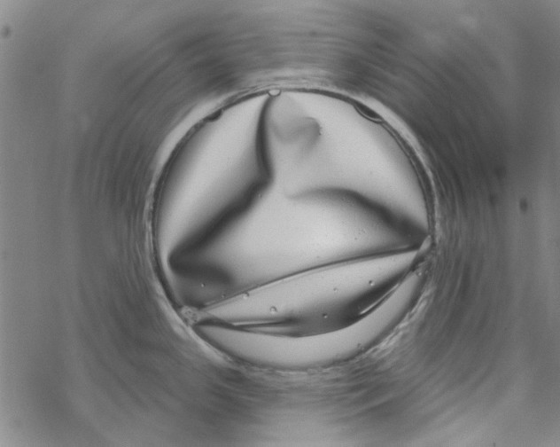 X0000067921341200605111959