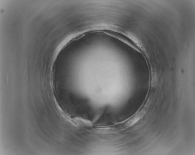 X0000067921342200605111959