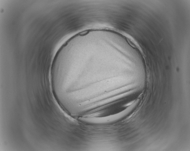 X0000067921343200605111959