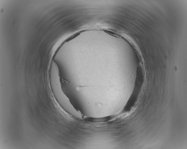 X0000067921344200605111959