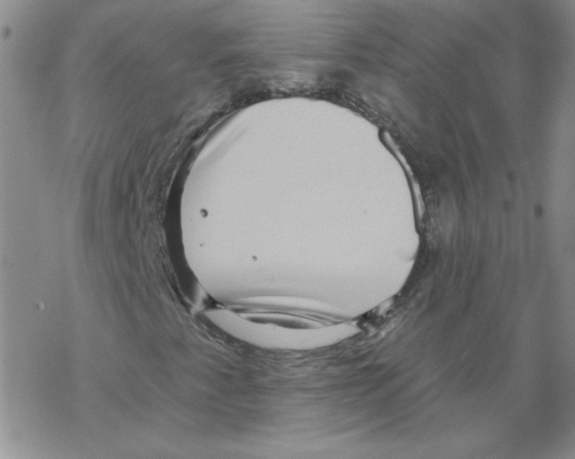 X0000067921345200605111958