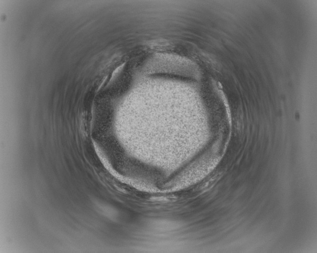 X0000067921346200605111958