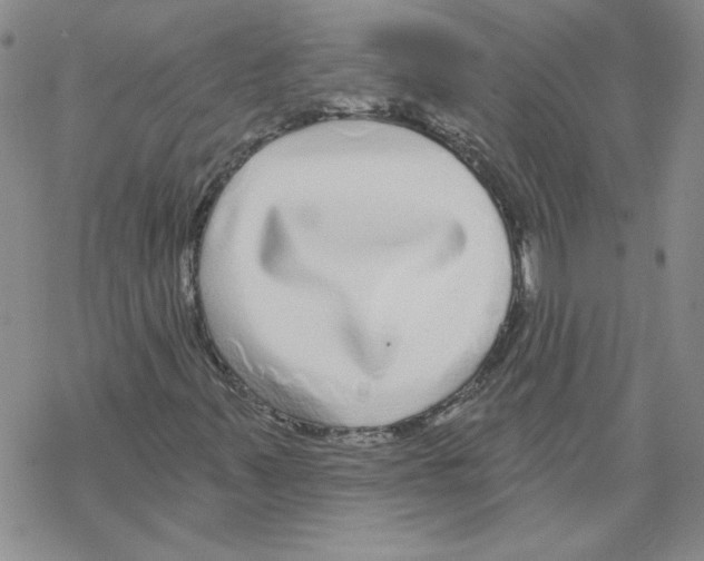 X0000067921347200605111958