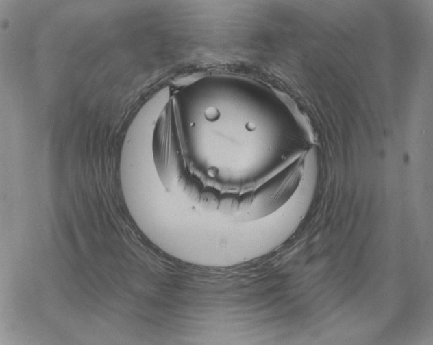 X0000067921348200605111958