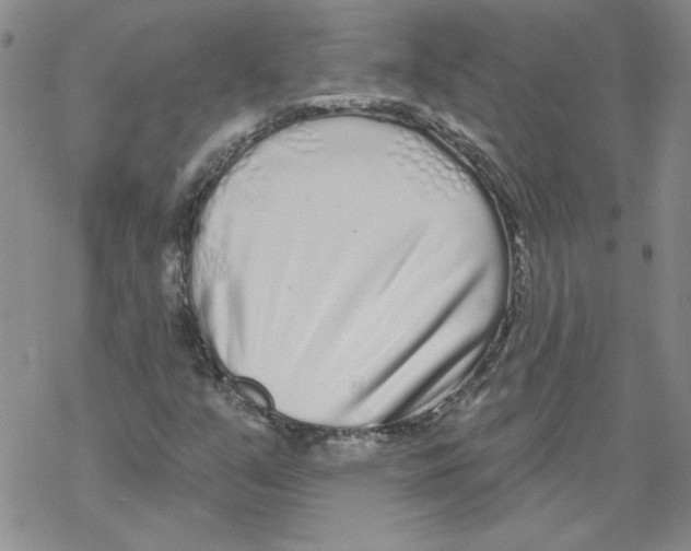 X0000067921351200605111958