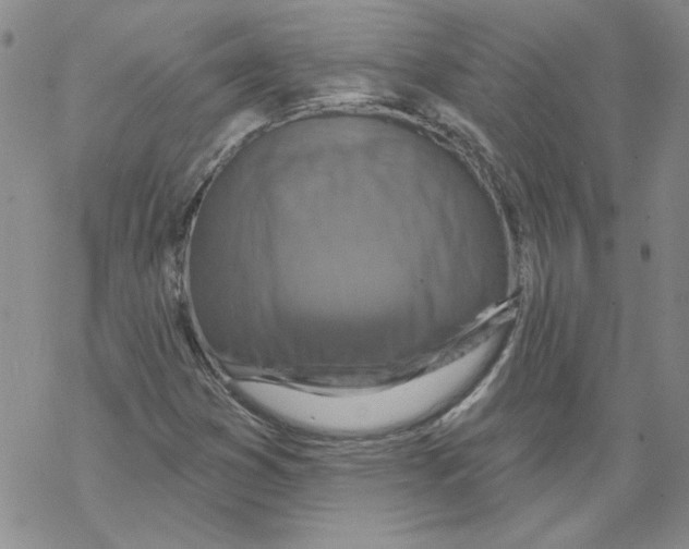 X0000067921353200605111958