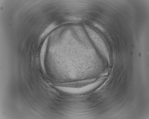 X0000067921354200605111958