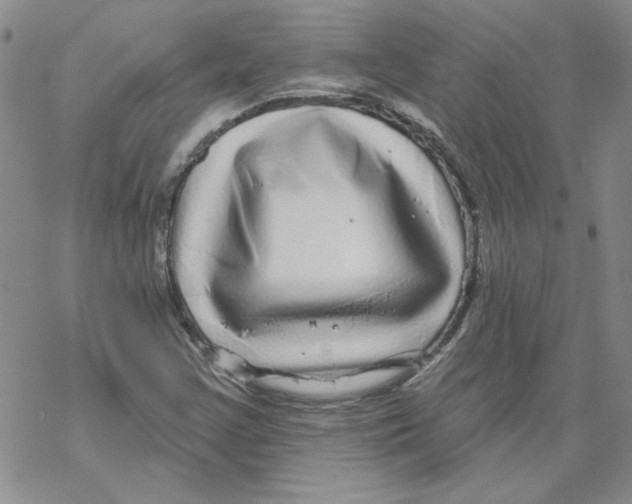 X0000067921355200605111958