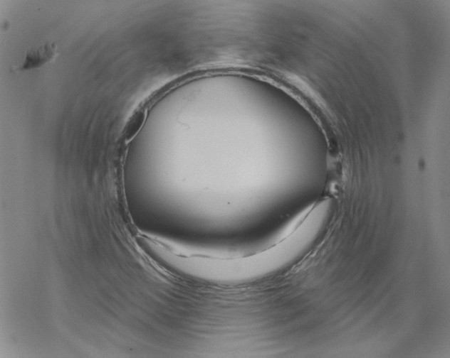 X0000067921356200605111958