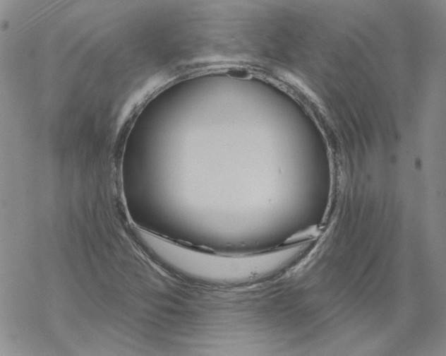 X0000067921357200605111958