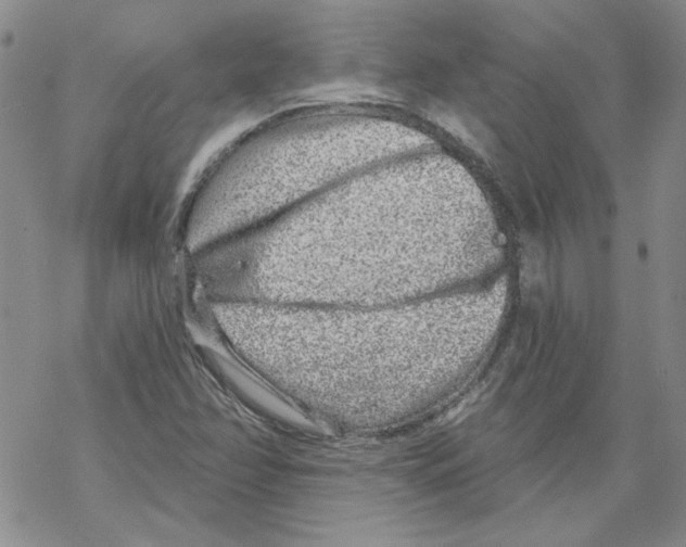 X0000067921358200605111958