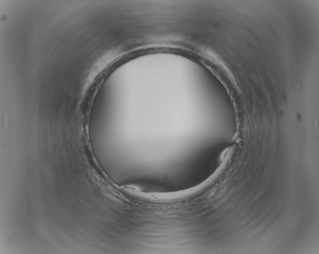 X0000067921360200605111958